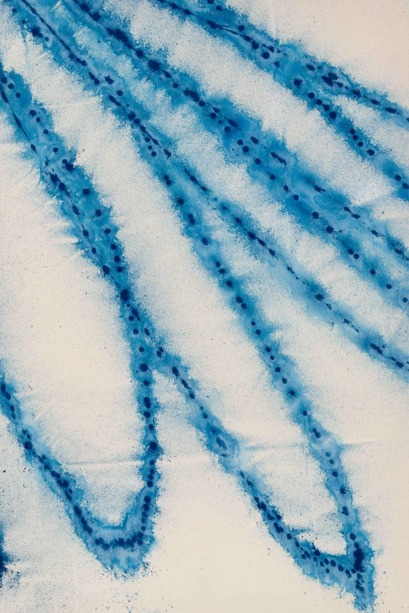 b0004044